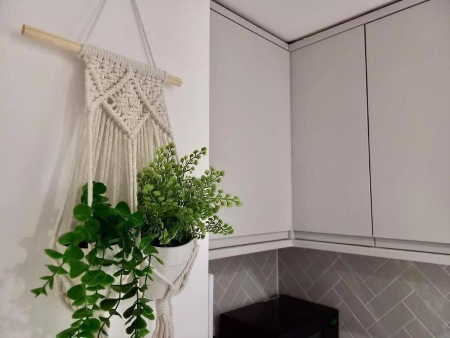 Flash Sale Kemptown 1 Bedroom Flat Bn236Stg04 Okręg wyborczy Hove Zewnętrze zdjęcie